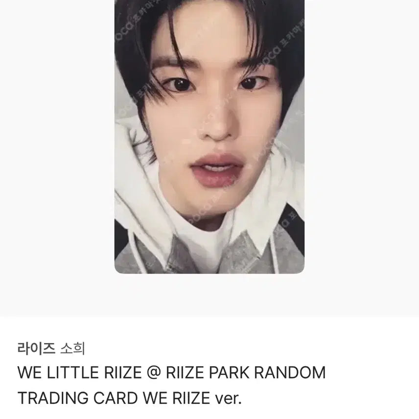 라이즈 소희 포토카드