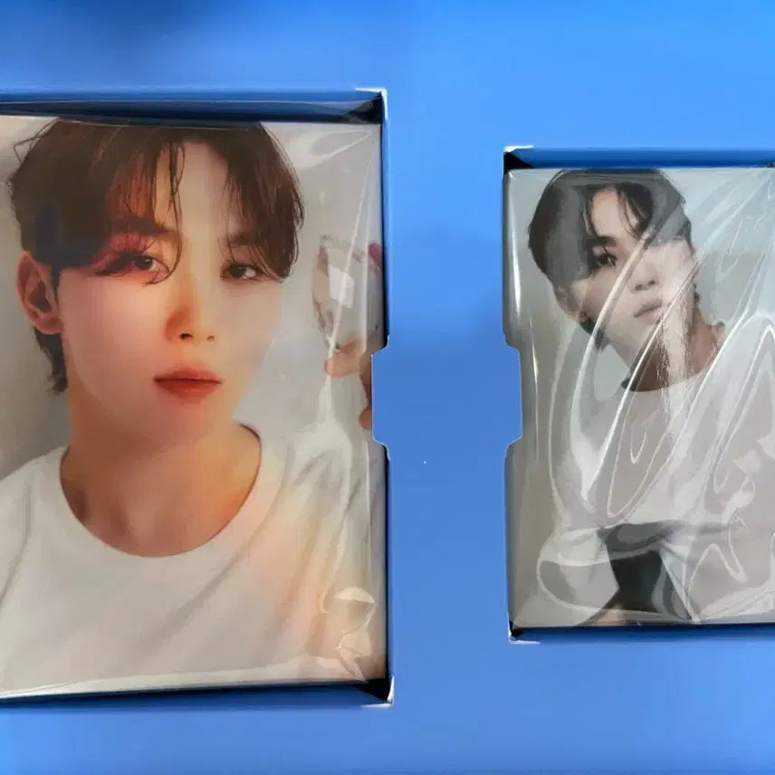 세븐틴 is right here 앨범 캐럿반 승관