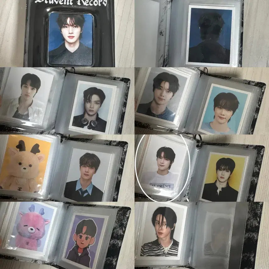 라이즈 성찬 증사 콜북 시그 엠디 포카 일괄 일본 오디세이 콘서트