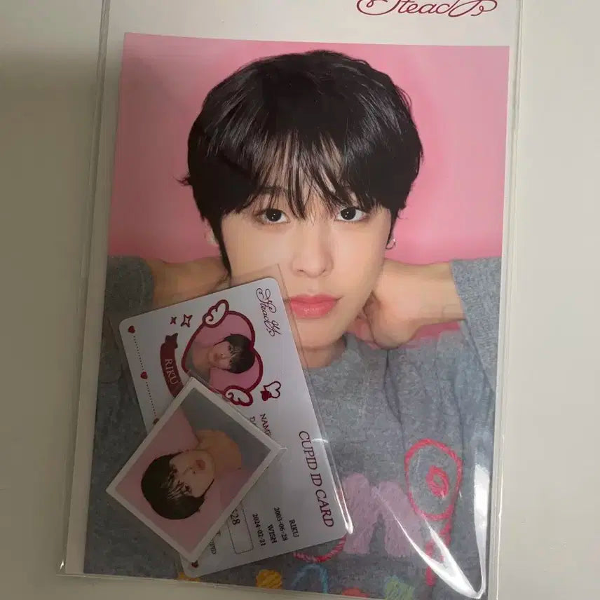 스테디 리쿠 엠디
