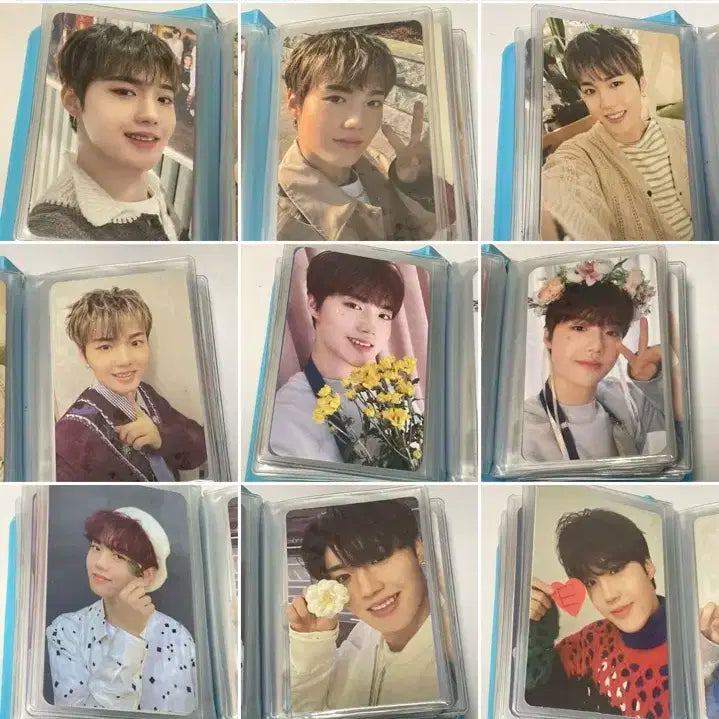 트레저 포카 양도