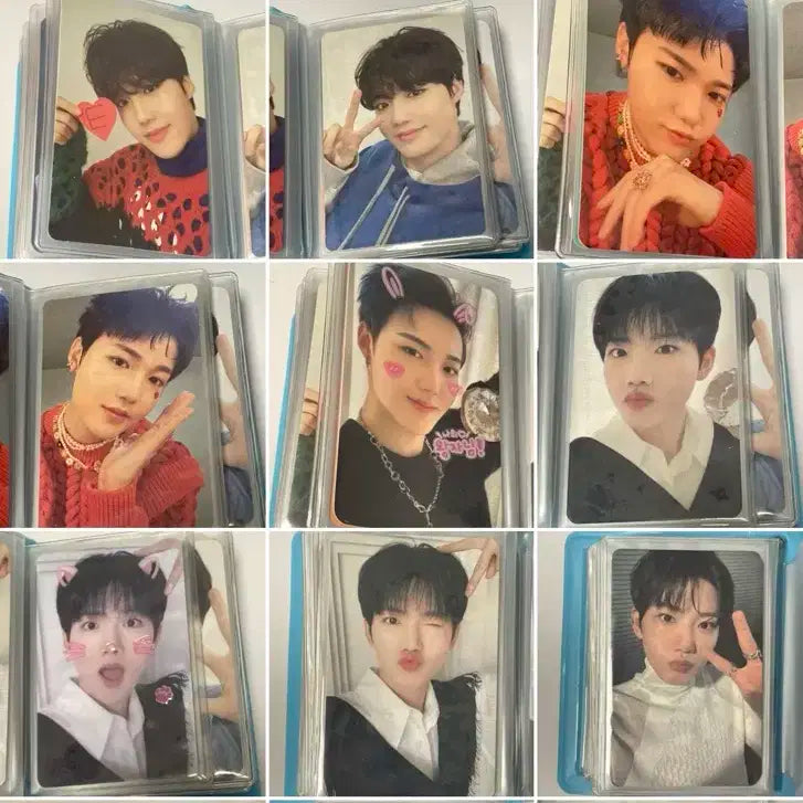 트레저 포카 양도