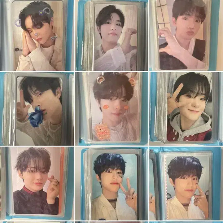 트레저 포카 양도