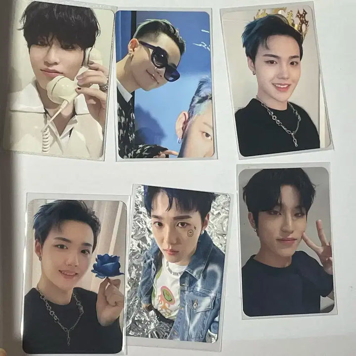 트레저 포카 양도