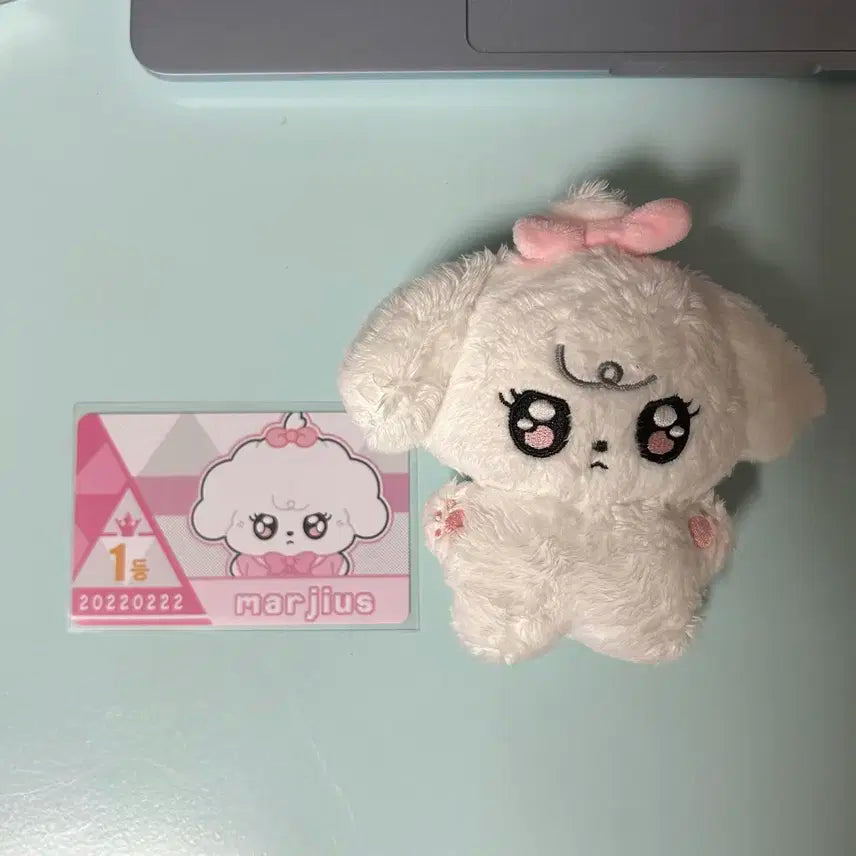 엔믹스 지우 중국산 인형 마르쥬스 키링 양도