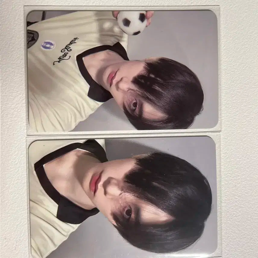 보넥도 태산 포카 일괄