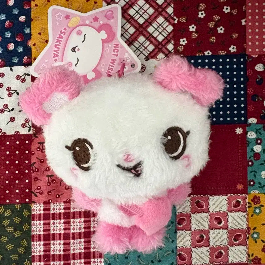 엔시티위시 위시돌 사쿠야 팡 양도