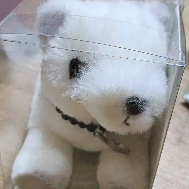 키오프 락피쉬 늑대인형