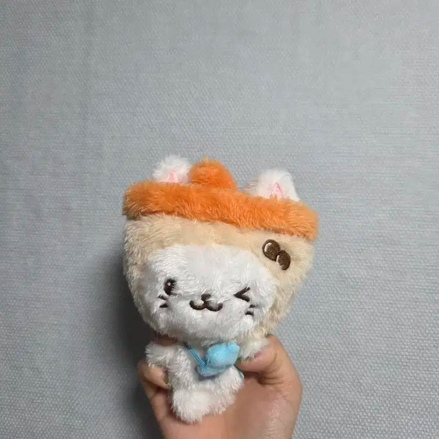NCT WISH 유우시 인형 버블냥 판매합니다