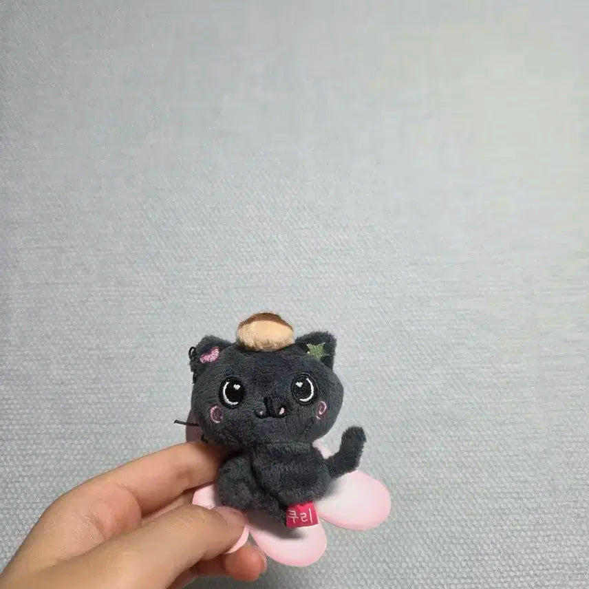 NCT WISH 팬라이트키링 쿠리(리쿠) 판매합니다