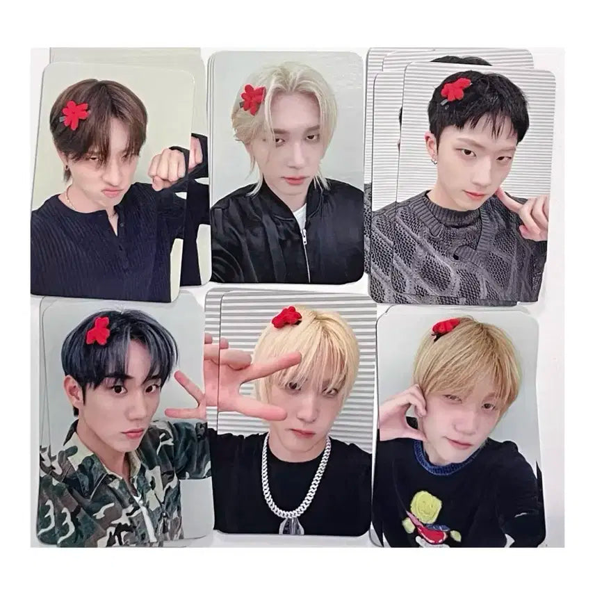 피원하모니 에버라인 톡전 포카 미공포 세트 p1harmony