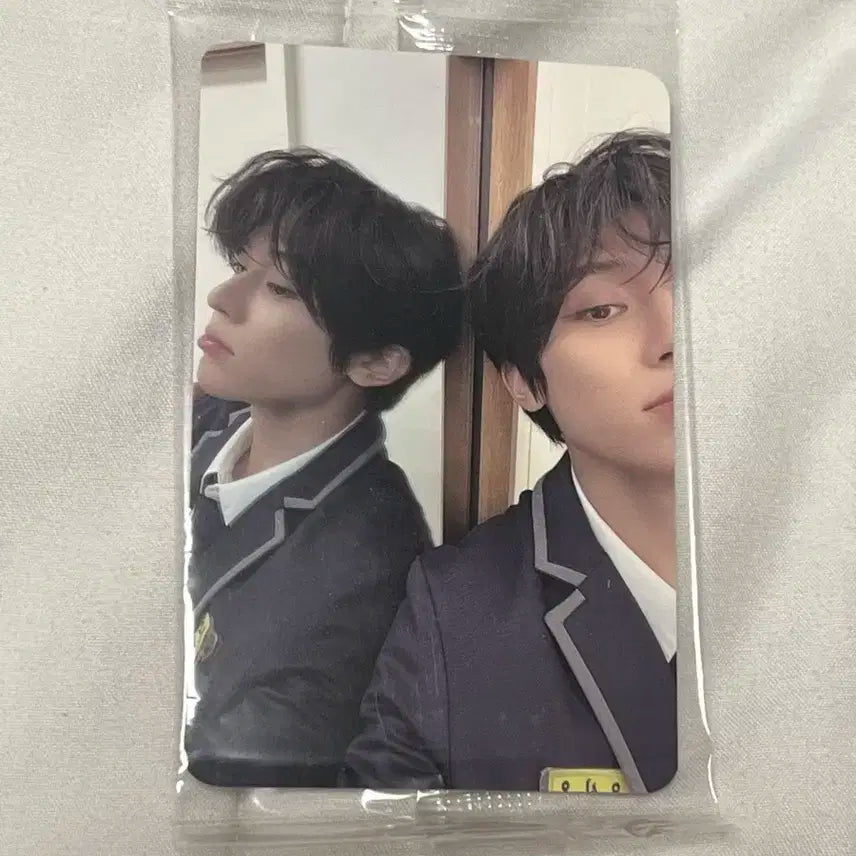 엔시티위시 시온 스테디 케타포 ktown4u 럭드 교복 미공포 포카 양도