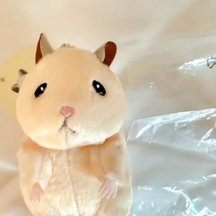 제로베이스원 스케로쿠 뚱중햄 성한빈 인형 양도