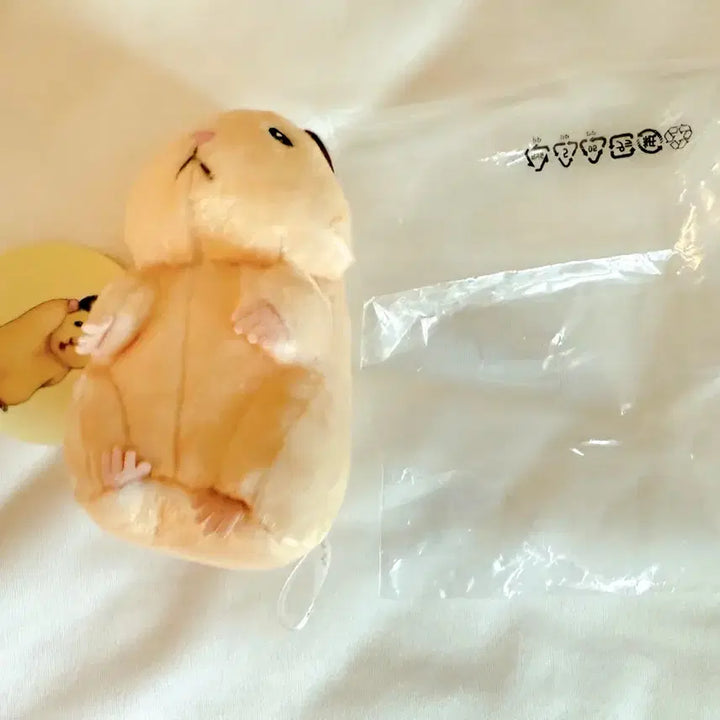 제로베이스원 스케로쿠 뚱중햄 성한빈 인형 양도