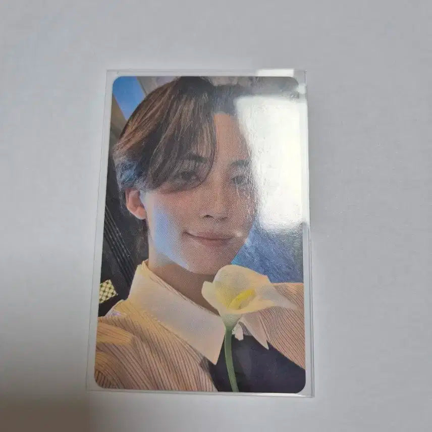 세븐틴 정한 도쿄돔 포카