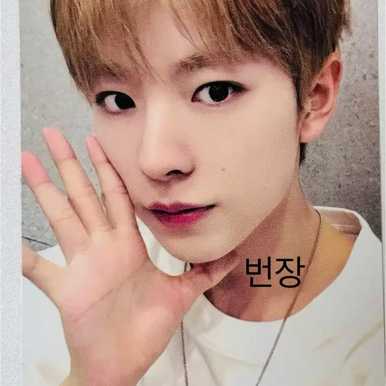 유우시 컬러팝업랜덤트레카