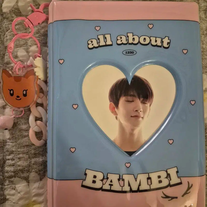 세븐틴 조슈아 포토카드&굿즈 일괄