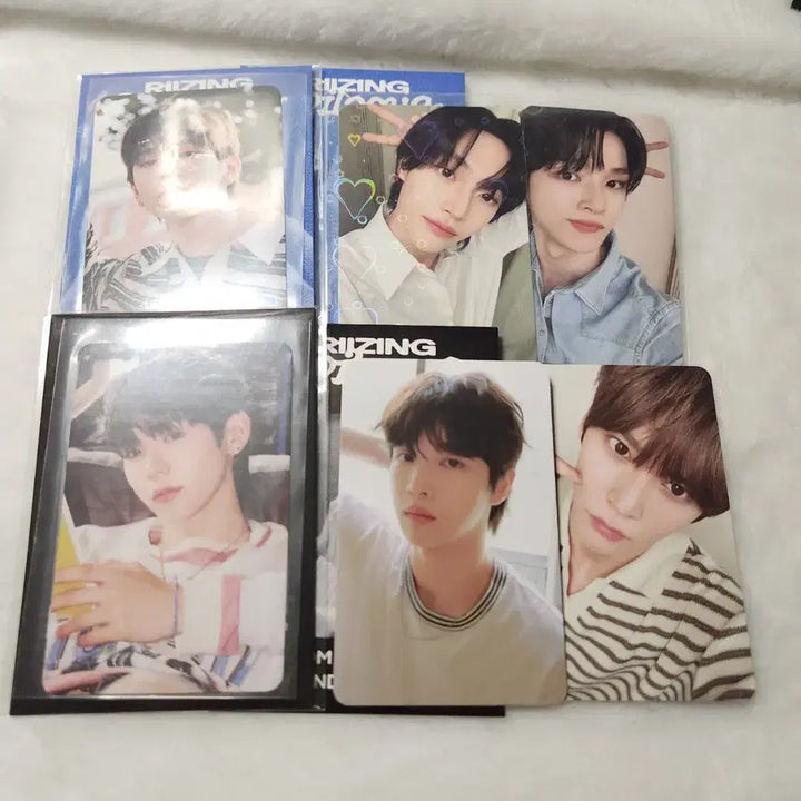 라이즈 트레이딩포카 원빈 성찬 은석 쇼타로 일괄