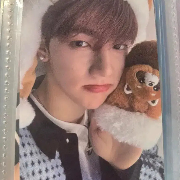 제베원 장하오 케타포 미공포 레서판다