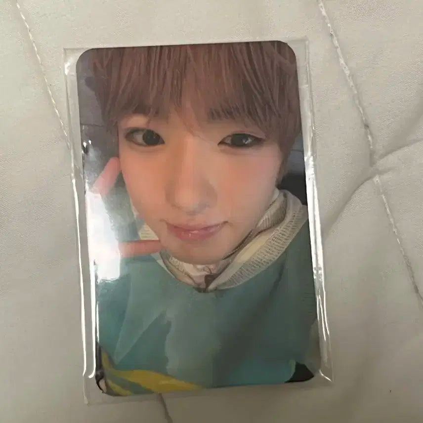 엔시티위시 사쿠야 컬러 yes 예스24 팬싸 특전 미공포 포카 양도 판매