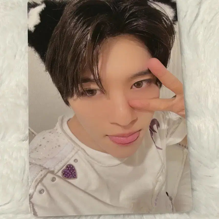 엔시티위시 컬러 팔레트 스트리밍 미공포 시온 포카