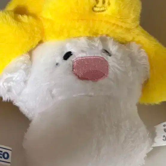 젠멍이 제노 엔시티 인형 탈덕 처분