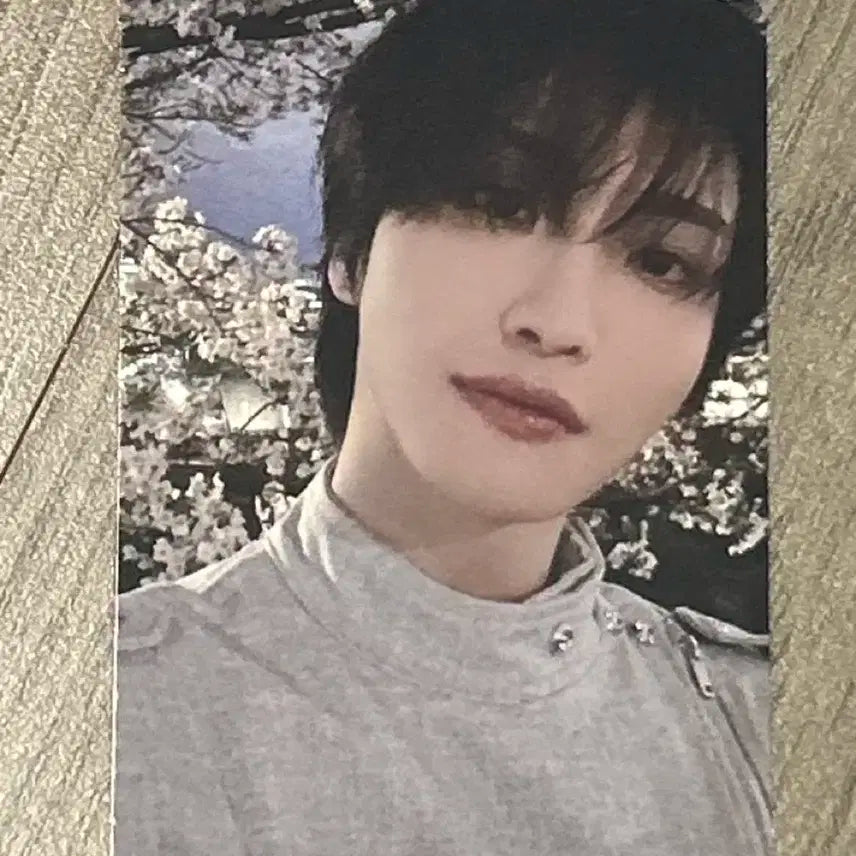 에이티즈 성화 포카양도