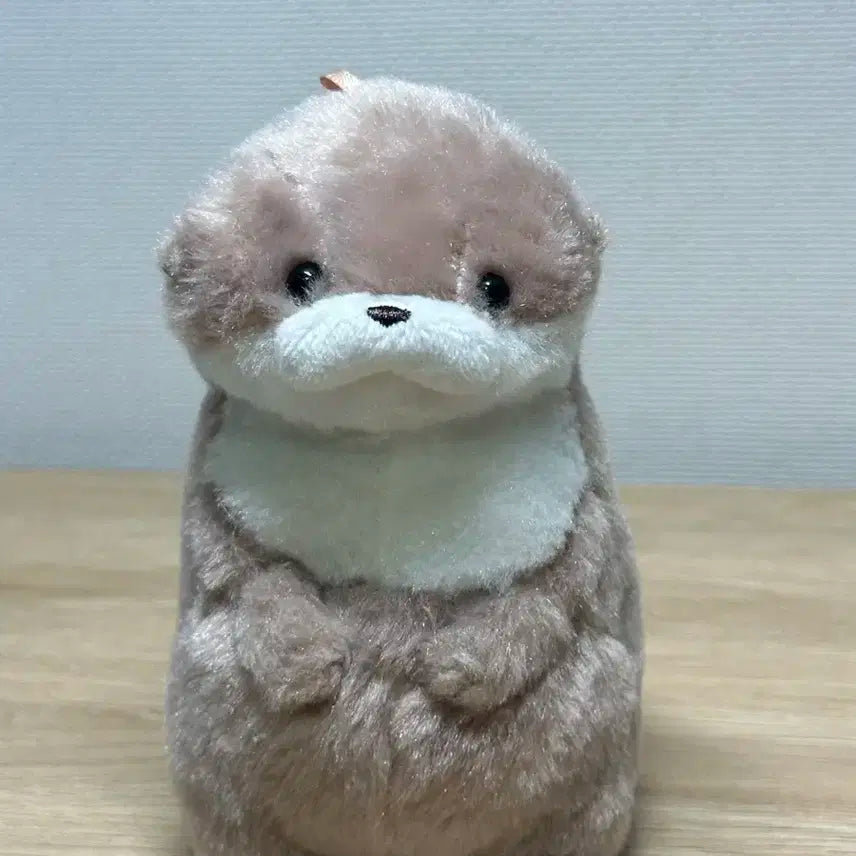 (마지막 가격내림) 어뮤즈 수달 11cm 효달이 찬달이