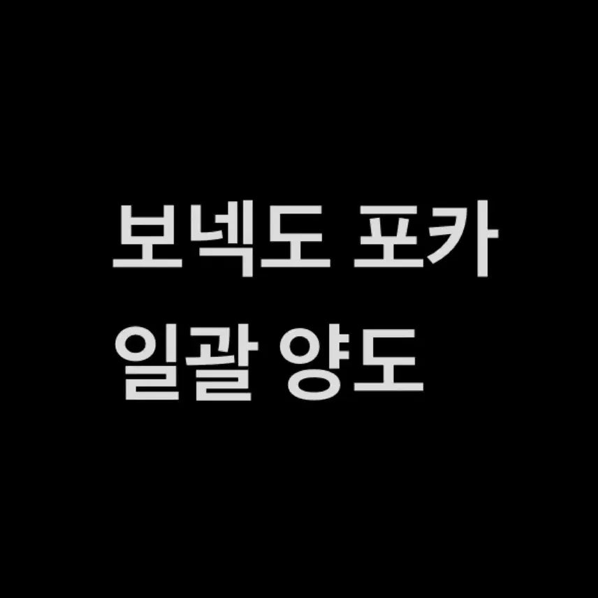 보넥도 포카 일괄 양도