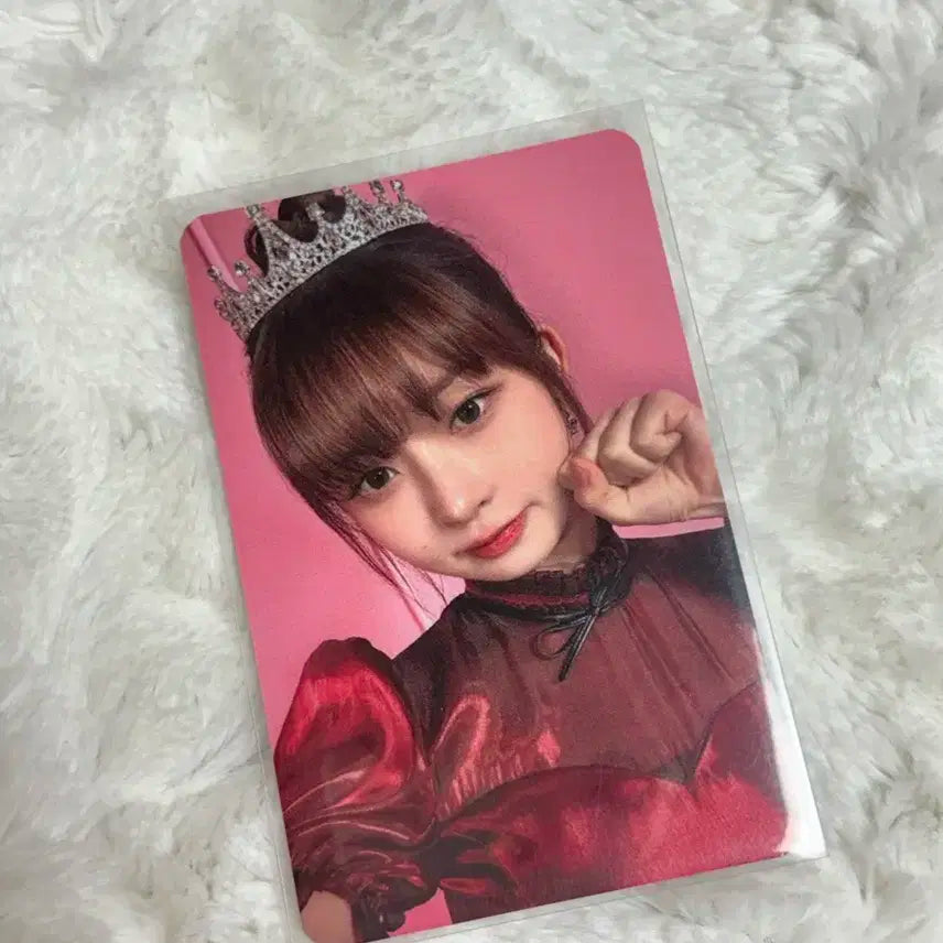 아이브 다이브존 2일차 레이 포카