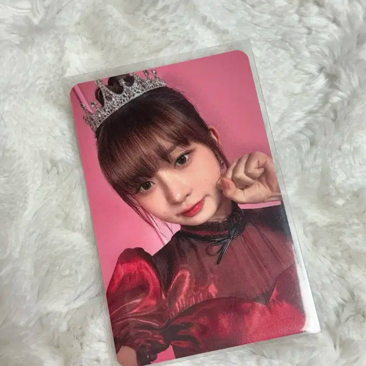 아이브 다이브존 2일차 레이 포카