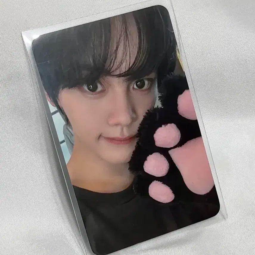 제로베이스원 김규빈 제로즈존 포카 zb1 막콘