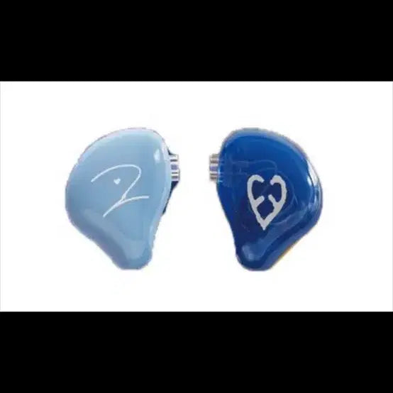 데이식스 인이어 원필 도운 커스텀 (설명 참고)