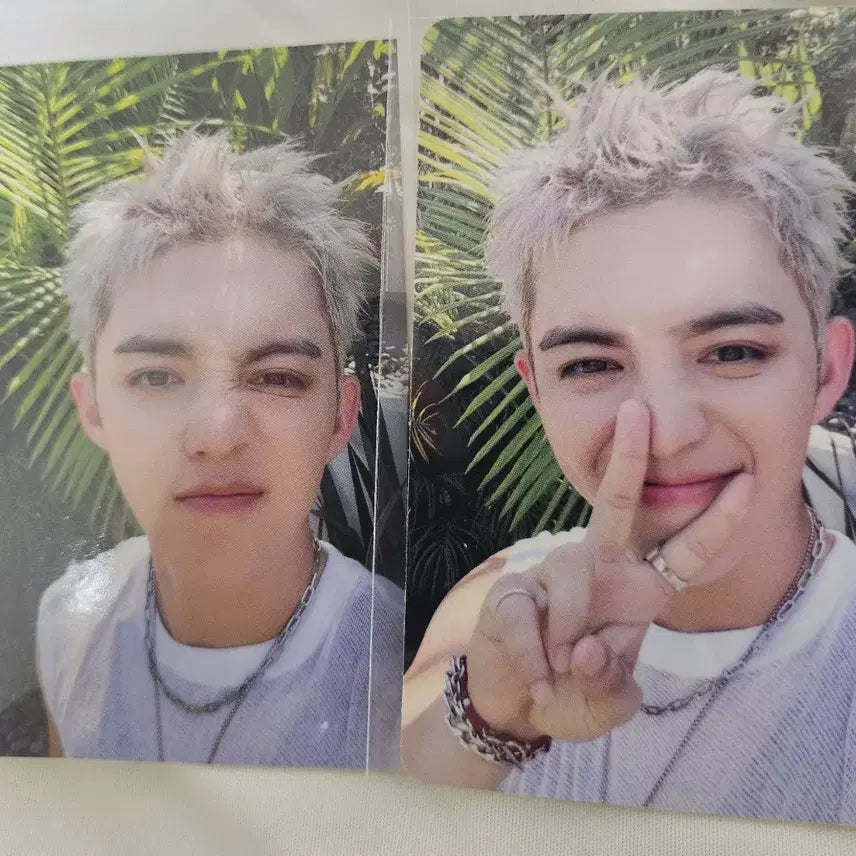 CxM 쿱스 위드뮤 리워드 포카, 뮤직플랜트 포카 일괄 (수수료포함)