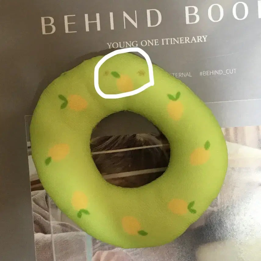 데이식스 이오데 데니멀즈 해변의 달링 옷