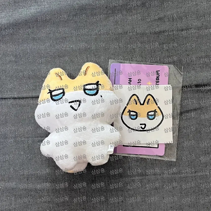 플레이브 짱레이브 3차 짱노아