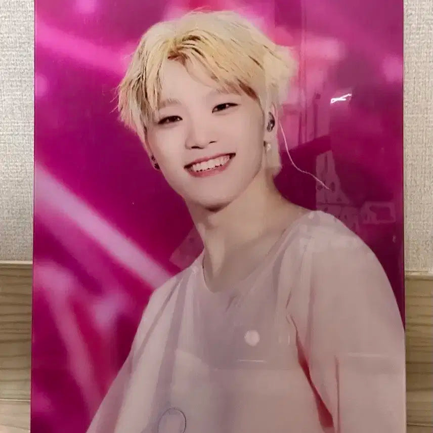 세븐틴 디노 A5 액자 판매 양도