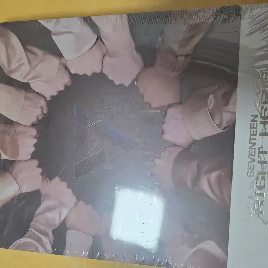 SEVENTEEN WORLD TOUR RIGHT HERE