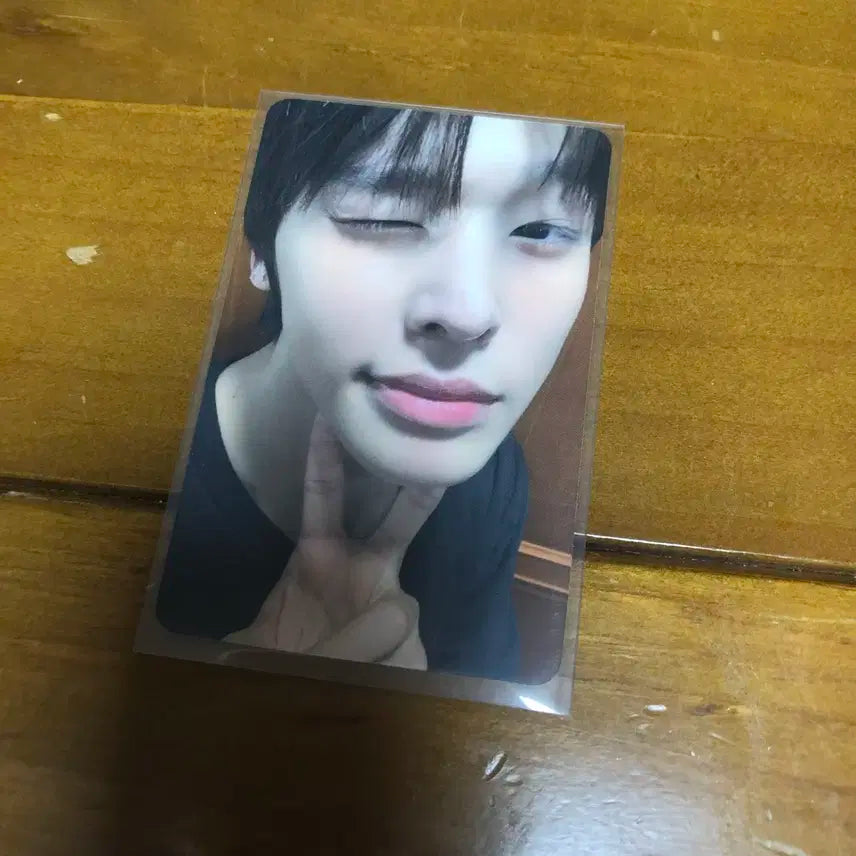 엔시티 위시 엔위시 리쿠 송버드 팬싸 포카 양도 판매 분철