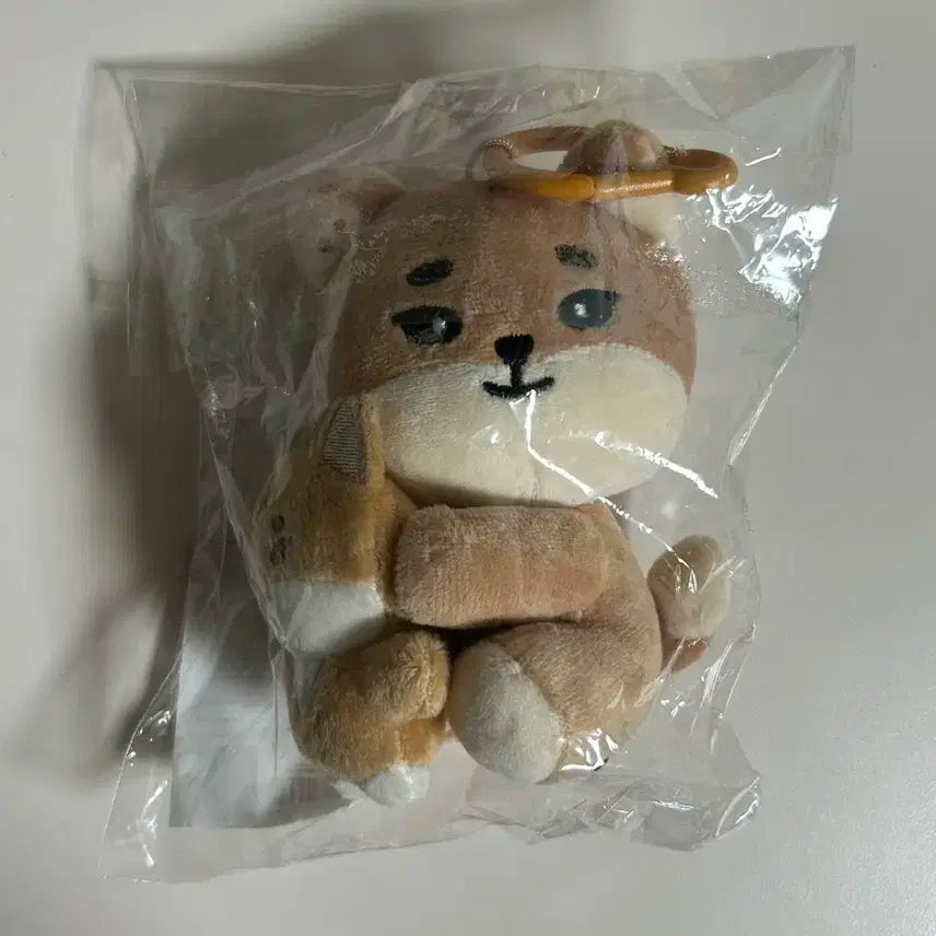 데이식스 나안아 마그넷 케 양도