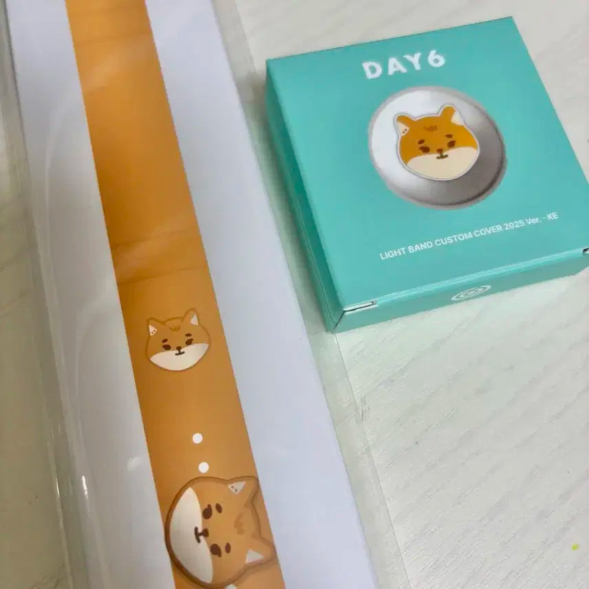 데이식스 쁘띠멀즈 쁘멀 케 커스텀 + 스트랩 세트 영케이 영현 라이트밴드