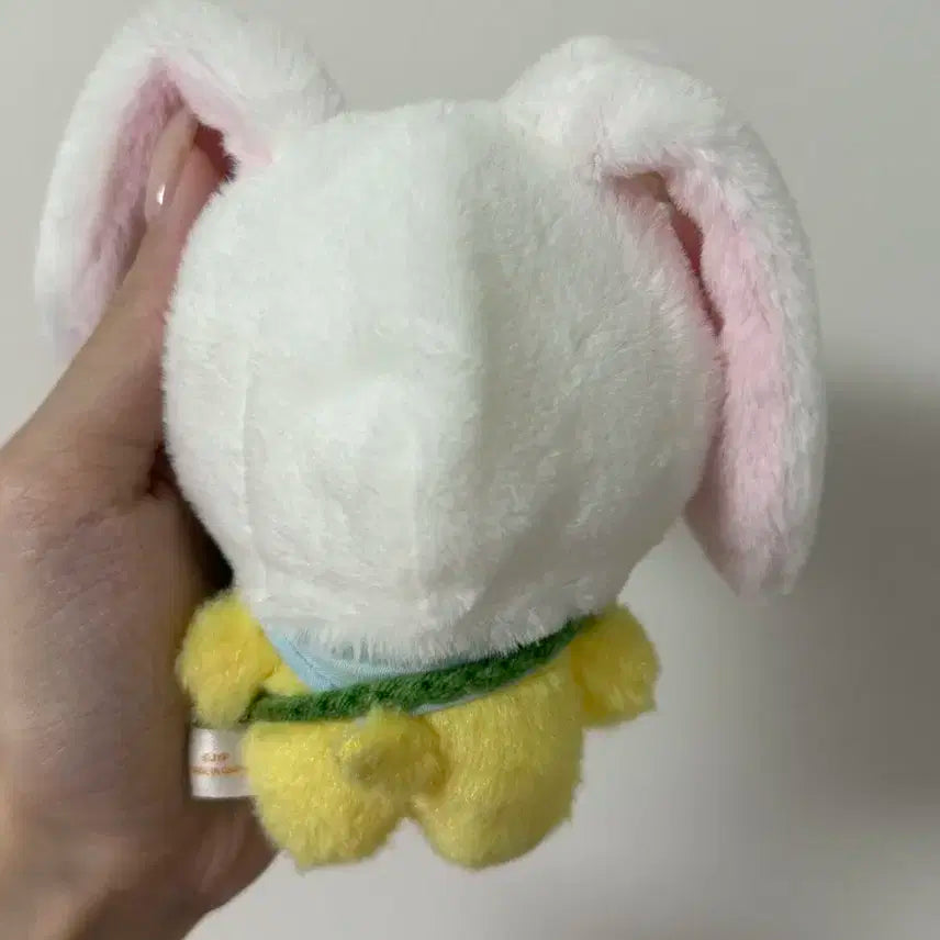 스키즈 뽁아리 스키주 양도