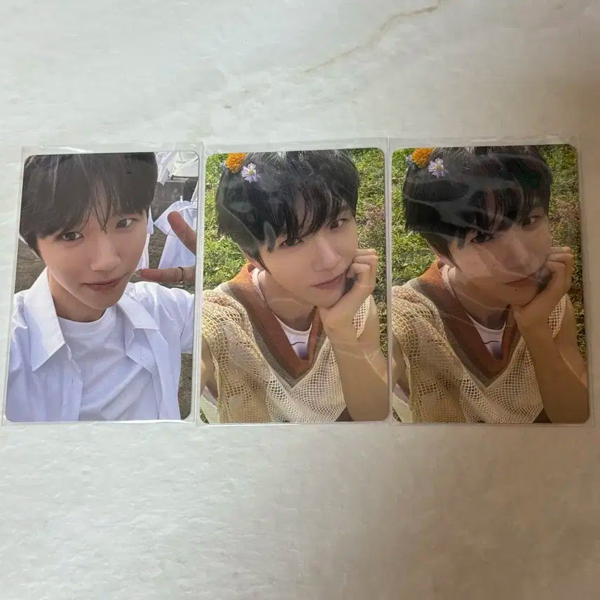 엔시티위시 위시 서프 컬러 재희 포카 일괄 양도 초회한정