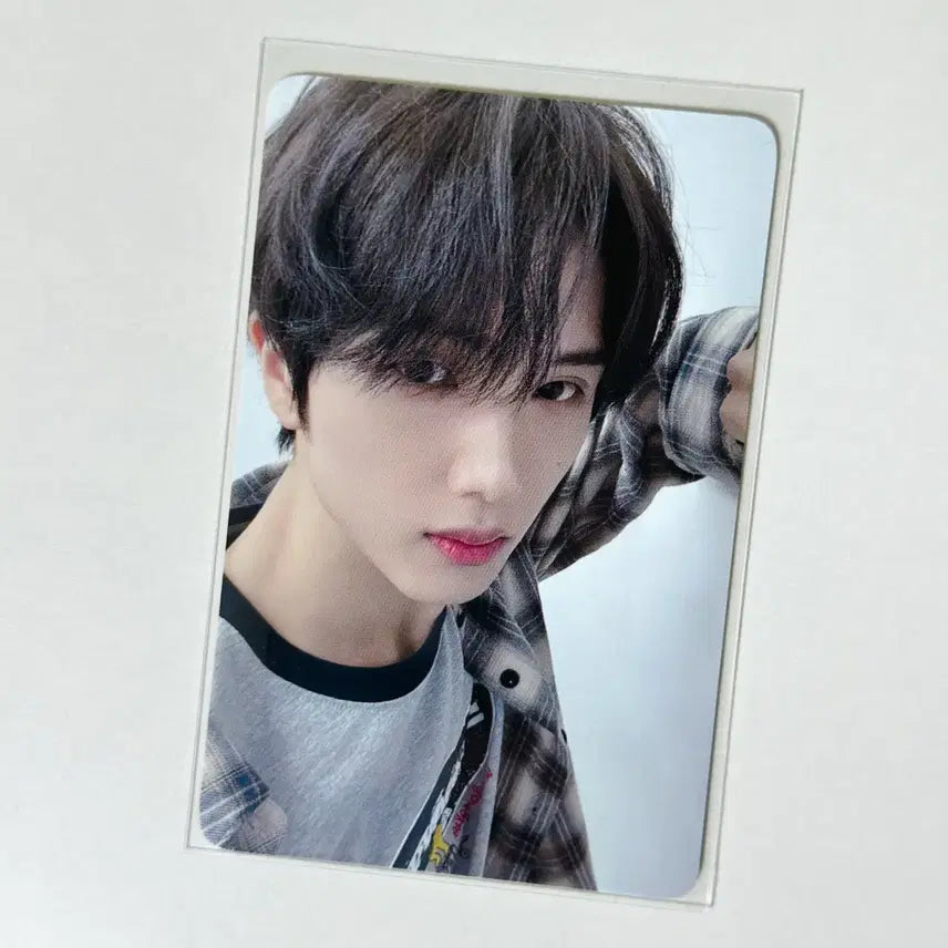 nctdream 엔시티드림 지성 백투더퓨처 에버라인 럭드 벽쿵 포카 양도