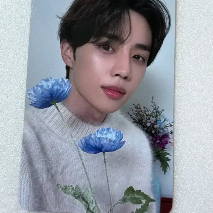 더보이즈 선우 메디힐 포토카드