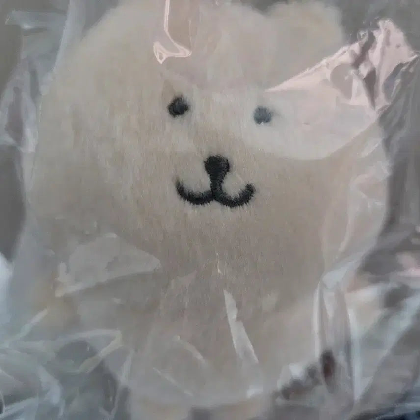 부산 나가노마켓 바닐라 컬러곰 팝니다