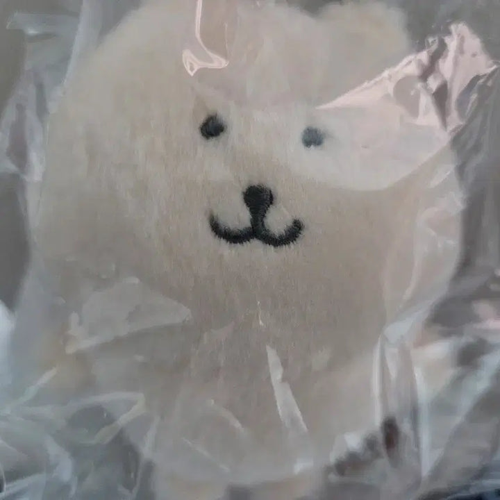 부산 나가노마켓 바닐라 컬러곰 팝니다