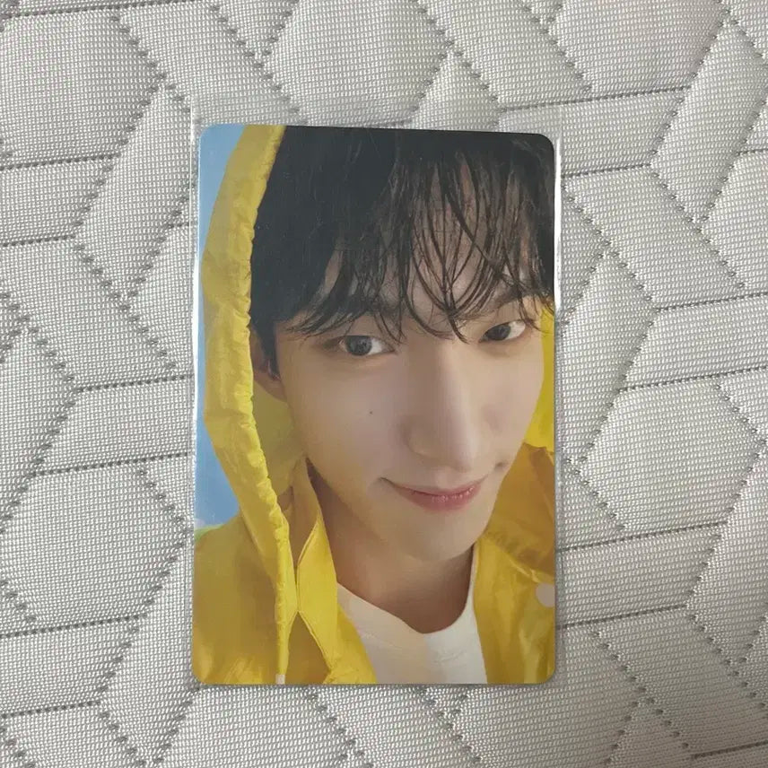 세븐틴 도겸 헤븐 캐럿반 랜포 양도