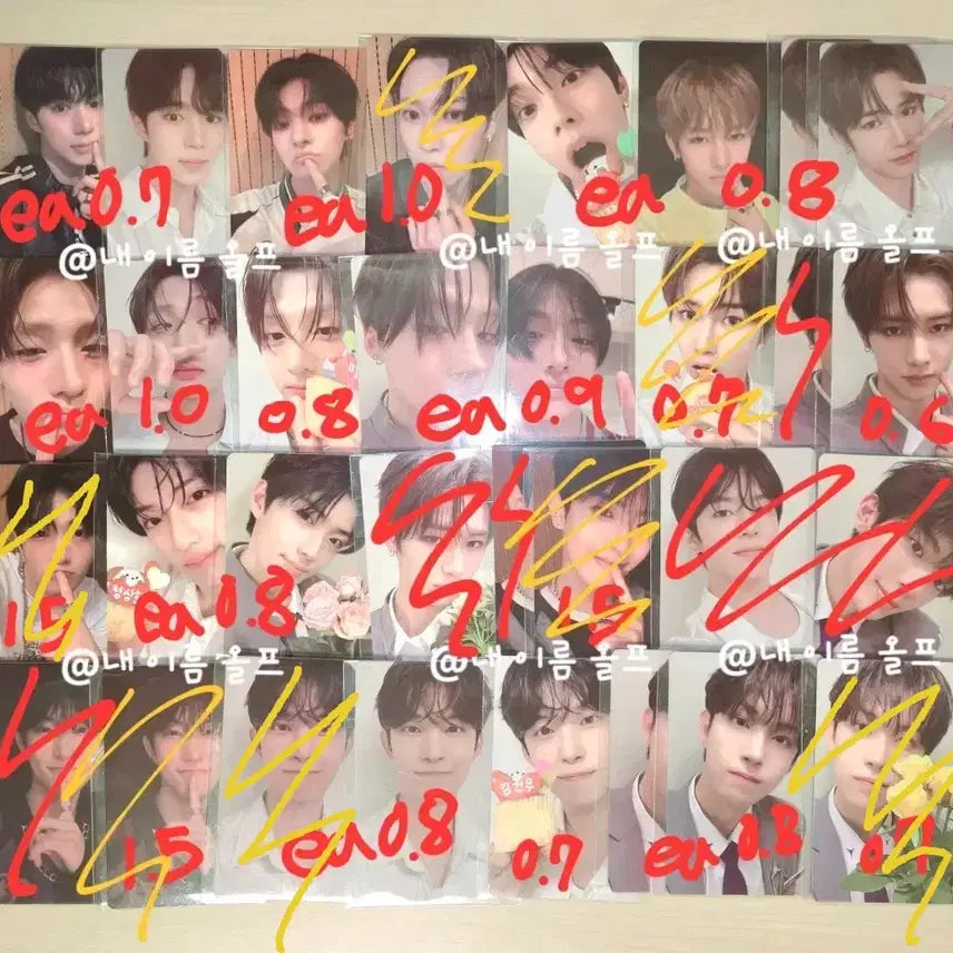 보플알디원아카이브팝업포카홀더김건우조우안신김준서이상원유강민이리오정상현최립은