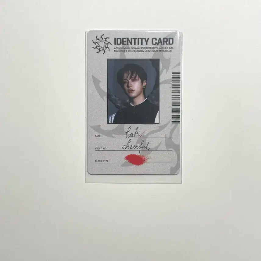 앤팀 타키 고인블 포카
